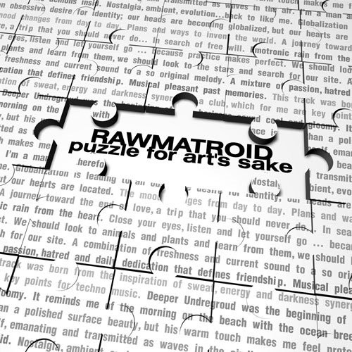 Rawmatroid Puzzle For Art's Sake