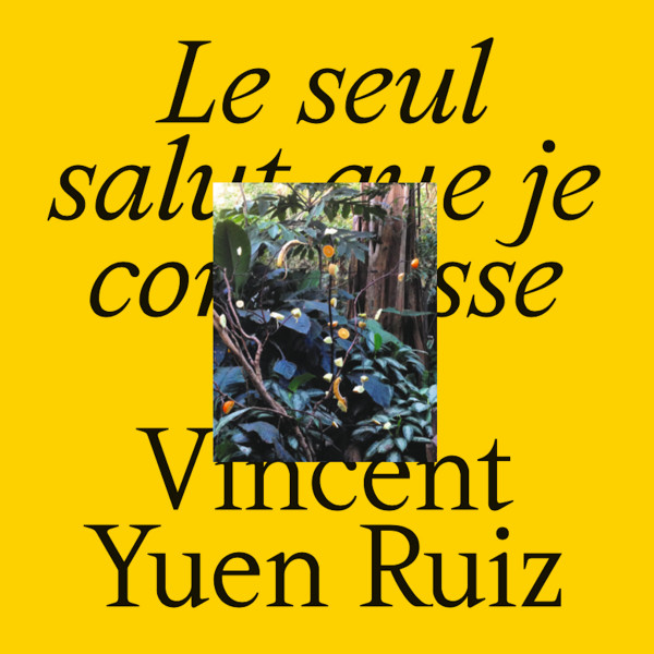  Le seul salut que je connaisse 