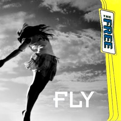 Fly