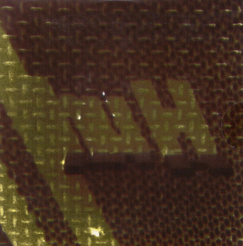 hu H (CD 19)