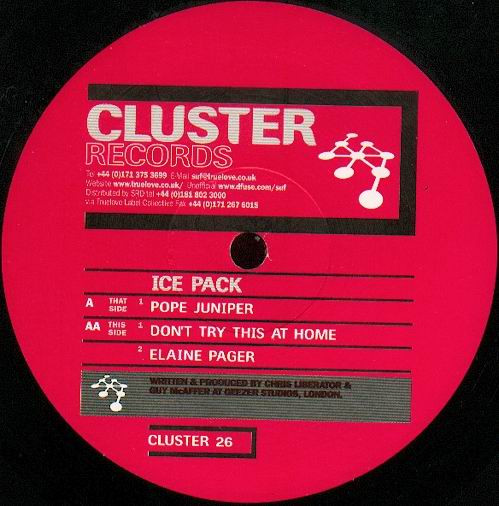 Pope Juniper / Don't Try This At Home / Elaine Pager