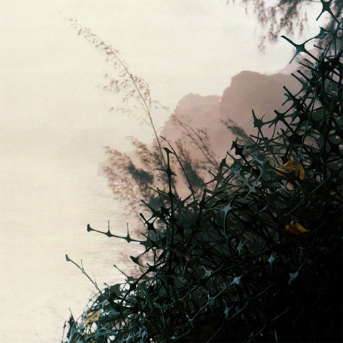 Vosotros Presents: Rhoda