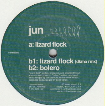 Lizard Flock