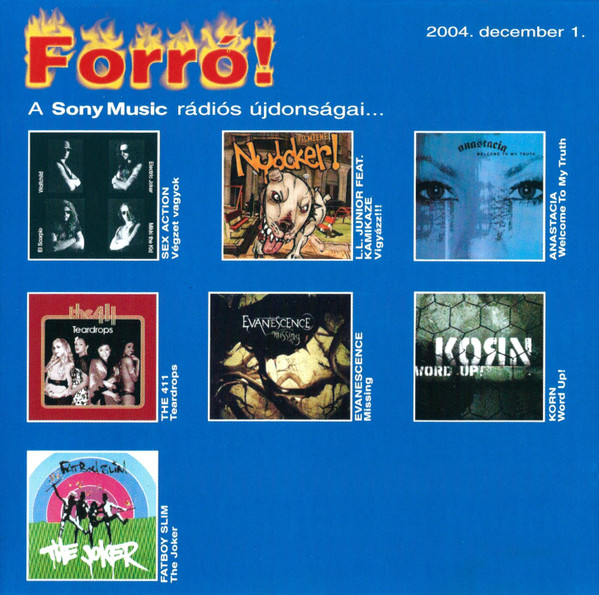 Hot Disc 2004. December 1.