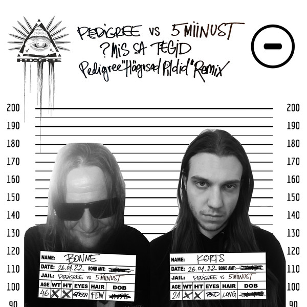 ?mis sa tegid (Pedigree "Hägused Pildid" remix)