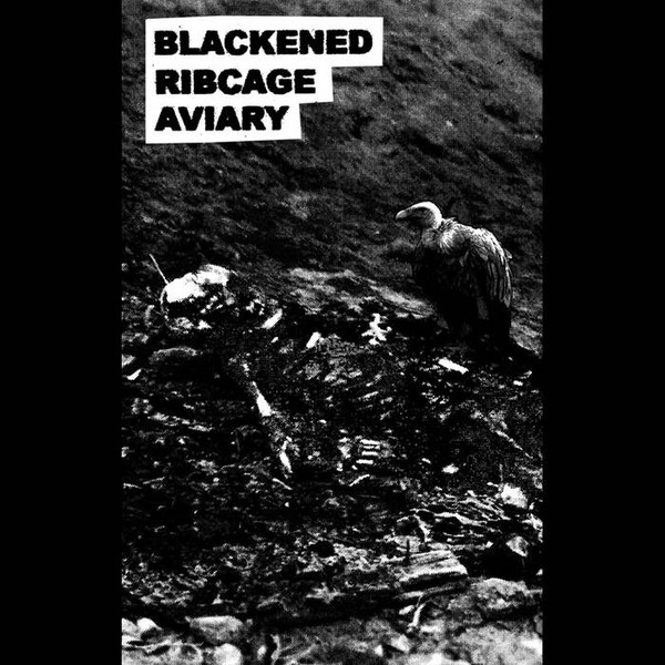 Blackened Ribcage Aviary