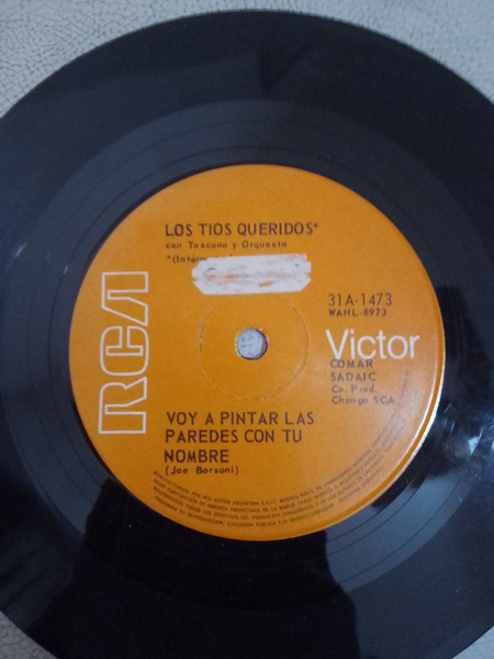 Voy A Pintar Las Paredes Con Tu Nombre / Volando Estaban Las Palomas