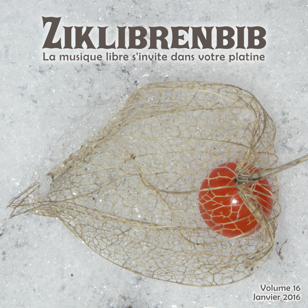 Ziklibrenbib Volume 16