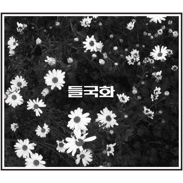 4집