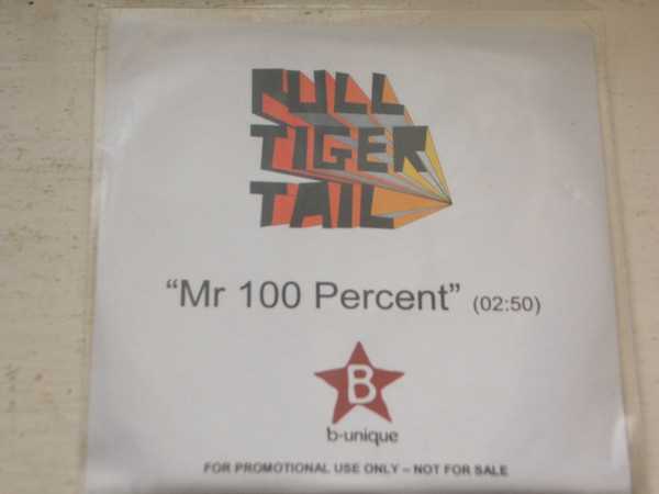 Mr 100 Percent