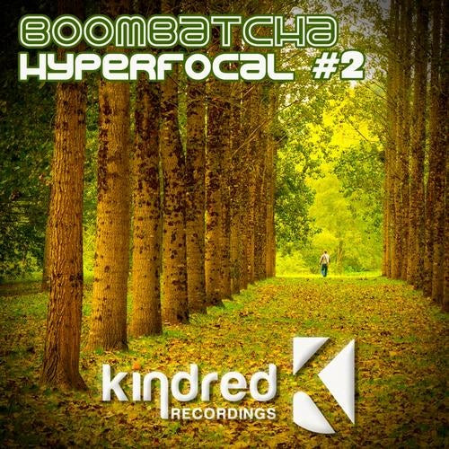 Hyperfocal #2