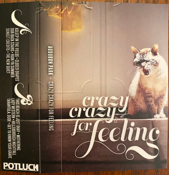 Crazy Crazy For Feeling