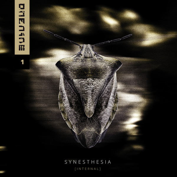 Synesthesia [Internal]