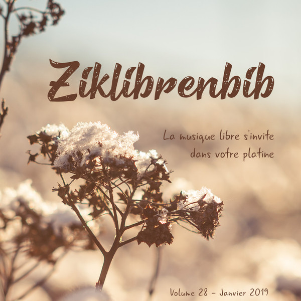 Ziklibrenbib Volume 28
