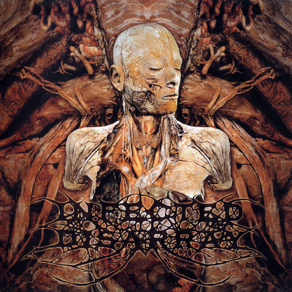 Disseminating Obscenity