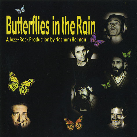 Butterflies In The Rain