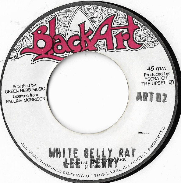 White Belly Rat