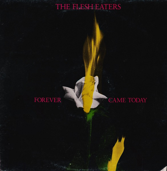 Forever Came Today