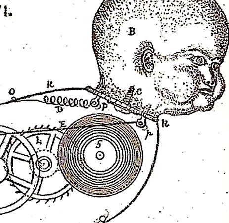 Luther Plumming Is Not A Neoist