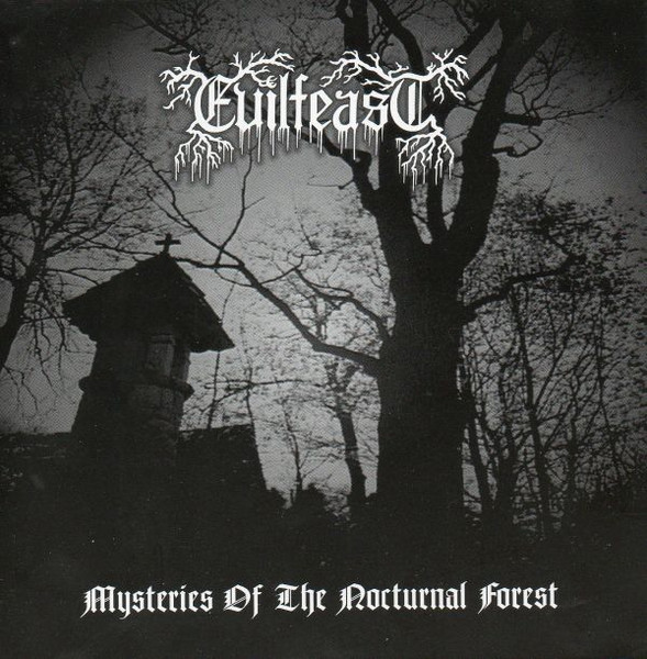 Mysteries Of The Nocturnal Forest