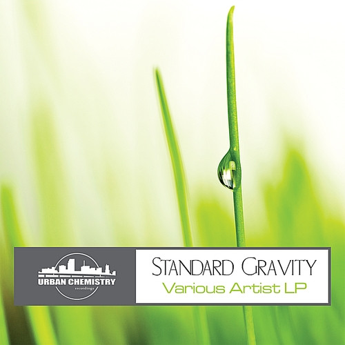 Standard Gravity