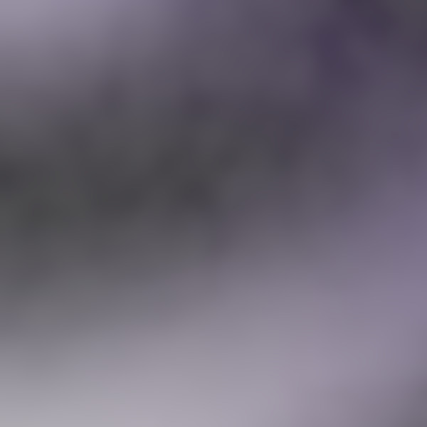 Fragments1117