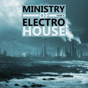 Ministry Of Electro House Vol.14