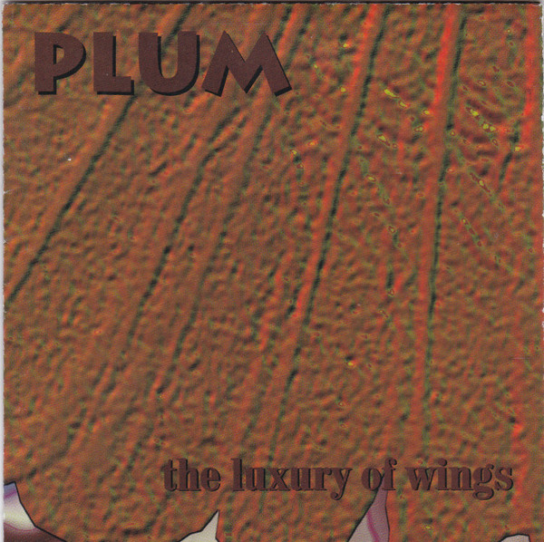 The Luxury Of Wings