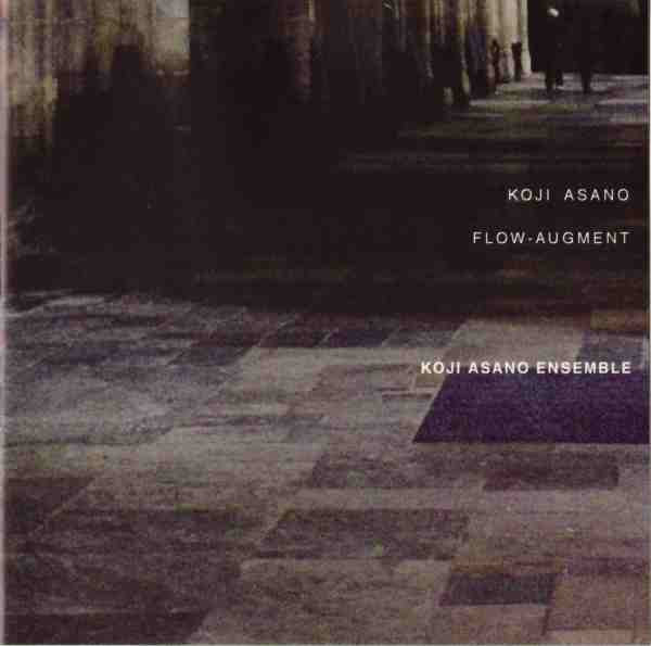 Flow-Augment