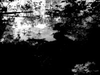 River Heart