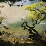 Sometimes In Autumn (Shackleton Remix)