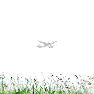 Field Notes