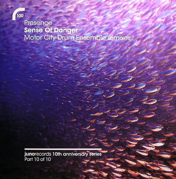 Sense Of Danger (Motor City Drum Ensemble Remixes)