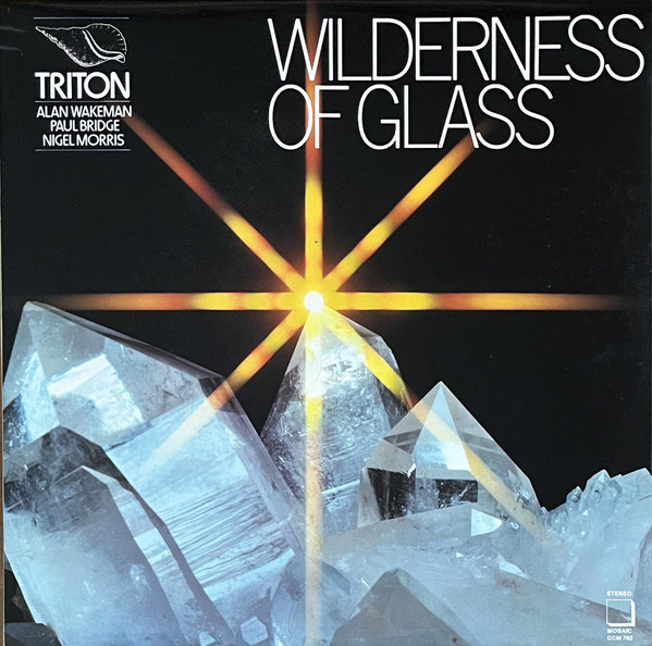 Wilderness Of Glass