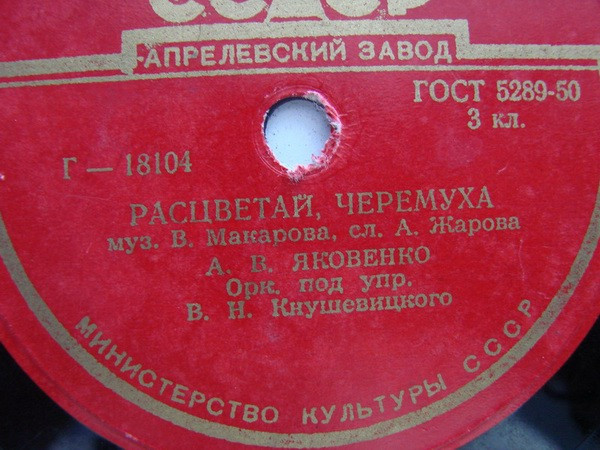 Расцветай, Черемуха / Таёжная