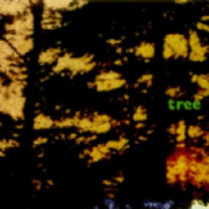 Tree: Music For Films And Forests