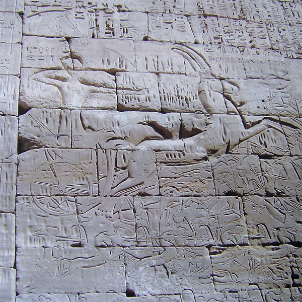 Egypt Strut