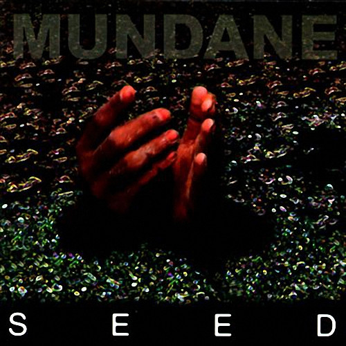 Seed