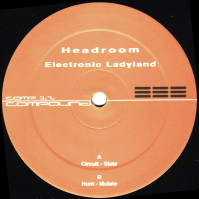 Electronic Ladyland