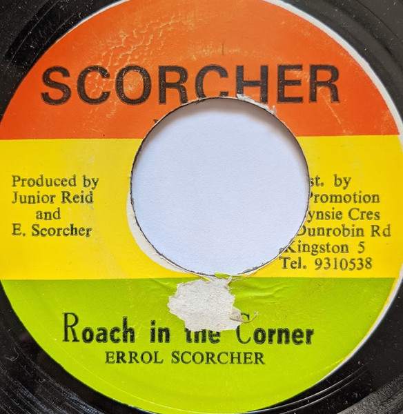 Roach In The Corner