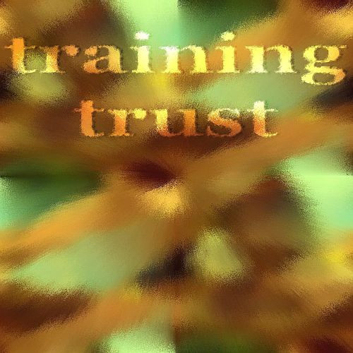 Training Trust