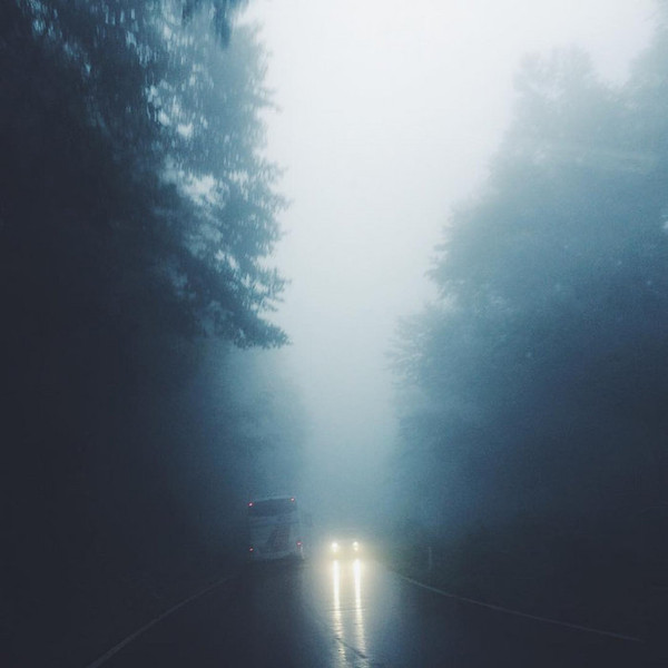 Fog