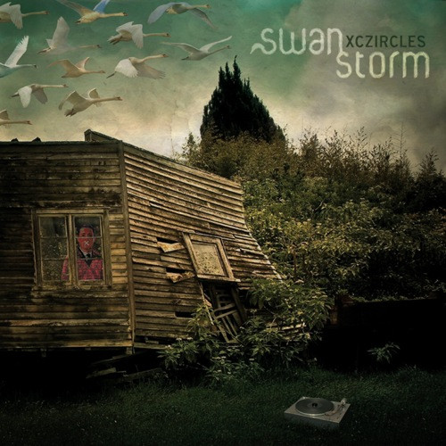 Swan Storm | The Quiet After The Storm