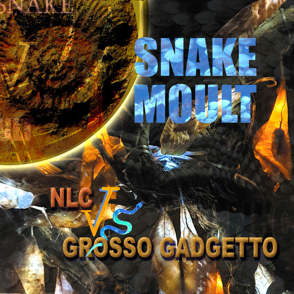 Snake Moult