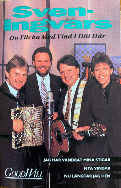 Du Flicka Med Vind I Ditt Hår