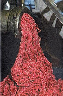 Corpsegrinder