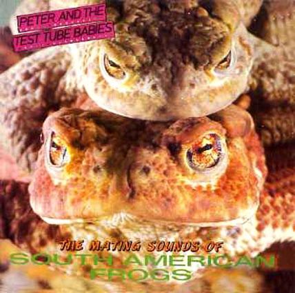 The Mating Sounds Of South American Frogs