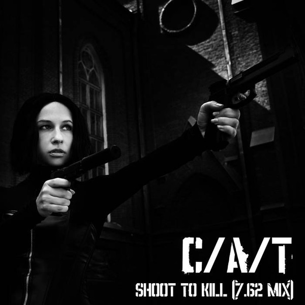 Shoot To Kill (7​.​62 Mix)