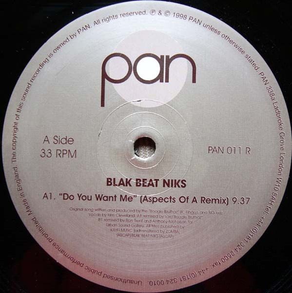 Do You Want Me (The Remixes)