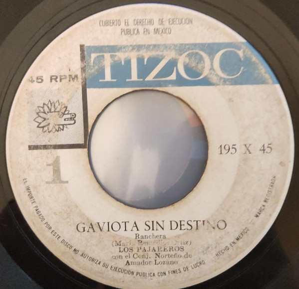 Gaviota Sin Destino